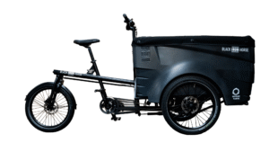 Black Iron Horse kastiratas Polly - 2